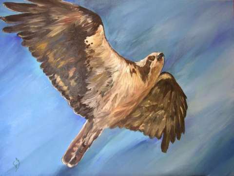 Flight of the Fisherman| Osprey