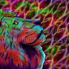 Colorful Lion