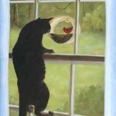 Serious Bird Watching