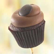 Chocolate on Chocolate Cupcake