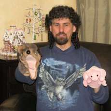 Willy and the Pink Pig