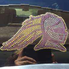 Customer Pic of Custom Decal Order