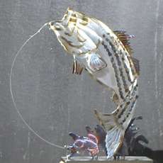 New Custom Striped Bass 2D