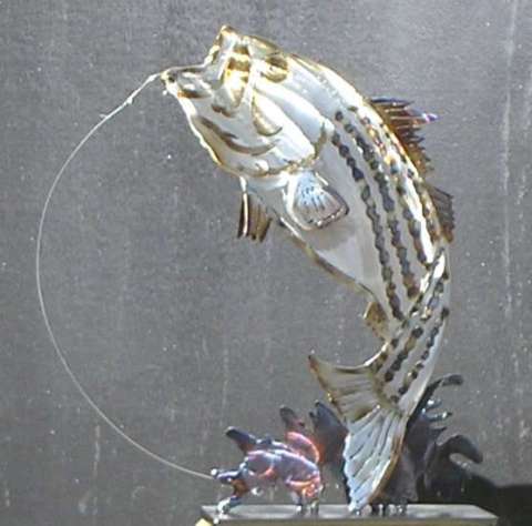 New Custom Striped Bass 2D