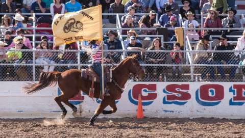 Tucson Rodeo - La Fiesta de Los Vaqueros