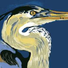Blue Heron