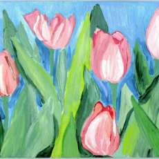 Pink tulips