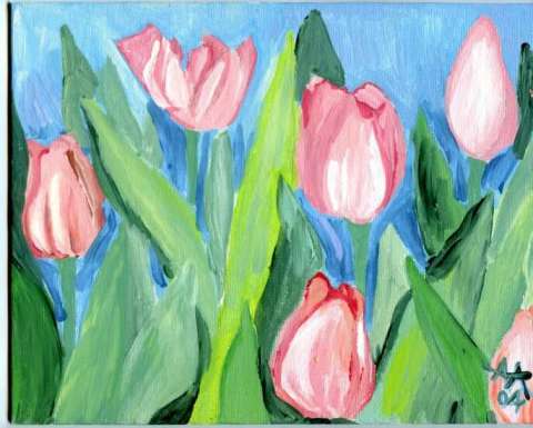 Pink tulips