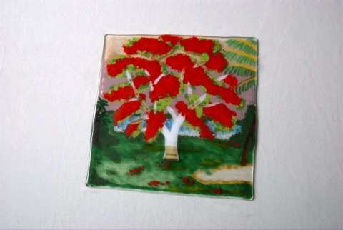 Sue's Royal Poincianna