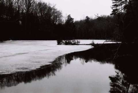 Cattail Creek