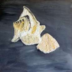 Deep Ocean SeaShells