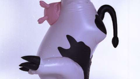 Geddy the Gecko and Holy Cow the Breakdancing Cow