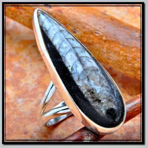 Orthoceras Fossil Ring in Sterling Silver