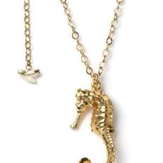 real seahorse and sharks tooth necklace preserved in 24 k gold