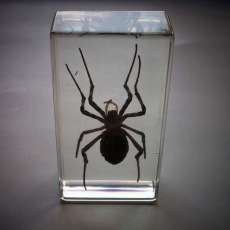 Arthur Michael Winston