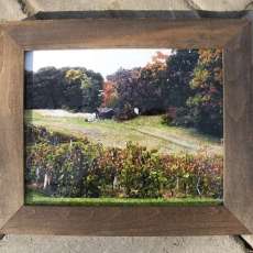 Photographic Original Digital Print - framed