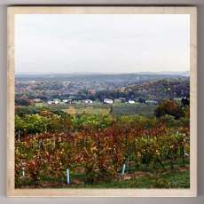 Photographic Original Digital Print - mounted on Italian ceramic tile, wall hanging