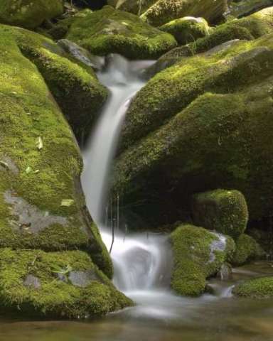 Roaring Fork Creek Fall