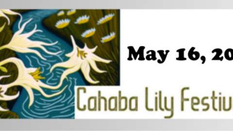 Cahaba Lily Festival
