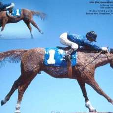 Into the Homestretch