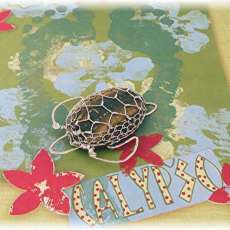 Green/Hawksbill Sea Turtle