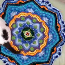 Mandala With Cat