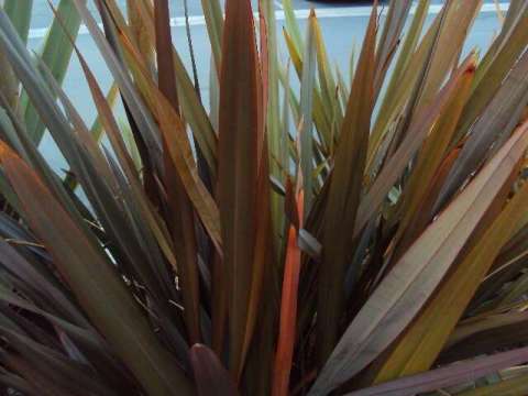 Joseph Hooks Joseph Hooks