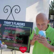 Scout Enjoying some ICE