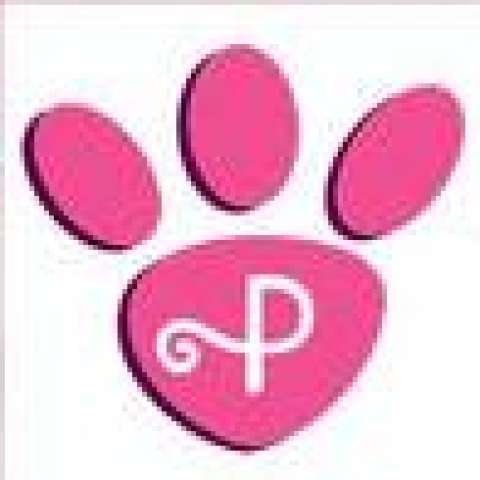 Patsy Stembridge Patsy Stembridge