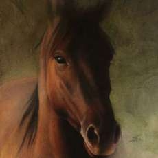 In the Quiet Morning