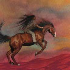 Searching for the Sun