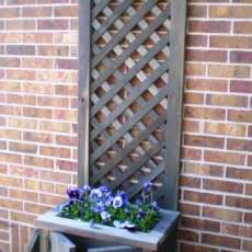 Tom's Plant Stand/Cupboard