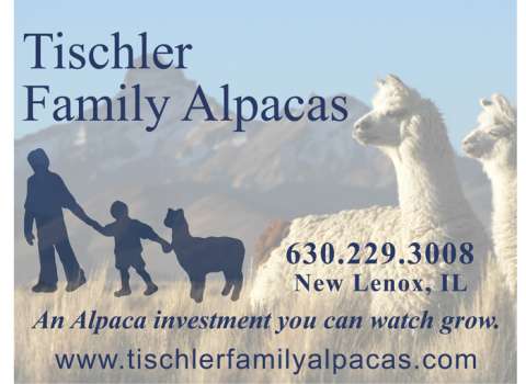 Beth Tischler Beth Tischler