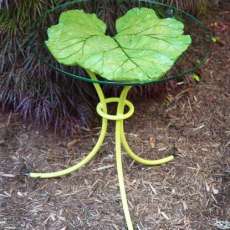 Rhubarb leaf table