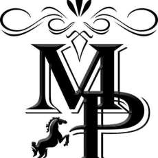 the Michael Paul Band logo