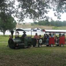 Goliad Texas - Company Picnic