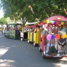 King William Parade 2010