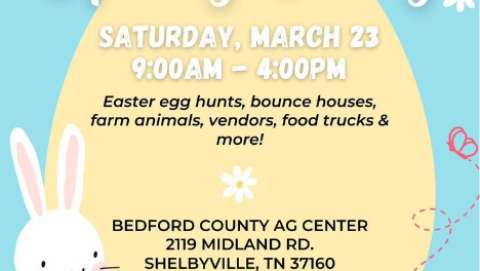Bedford County Spring Fling
