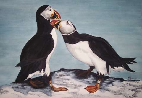 Puffins in Love