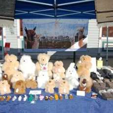 Booth at Steamboat Springs Farmers Market