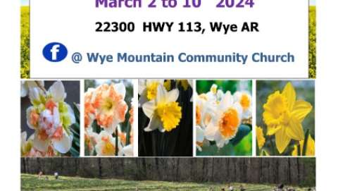 Forty-Sixth Wye Daffodil Festival