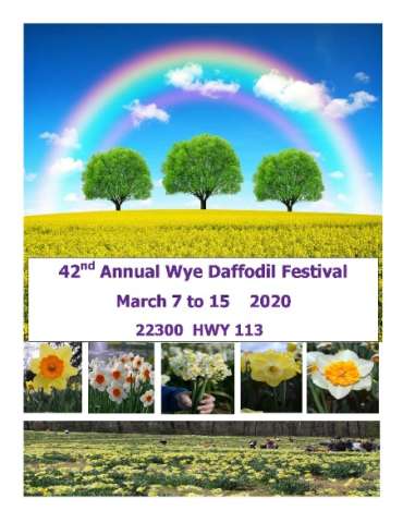 Wye Mountain Daffodil Festival