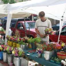 Outdoor Urban Market