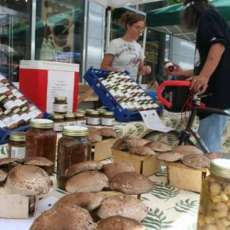 Outdoor Urban Market