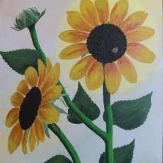 Nicki's Sunflowers