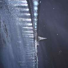 Daughter Views Eiffel