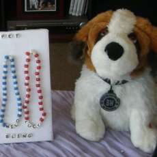 Pet Bling!