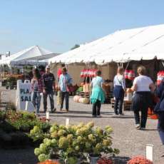 Shipshewana Flea Market Produce Aisle