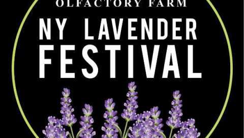 NY Lavender Festival