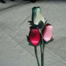 Bud Roses